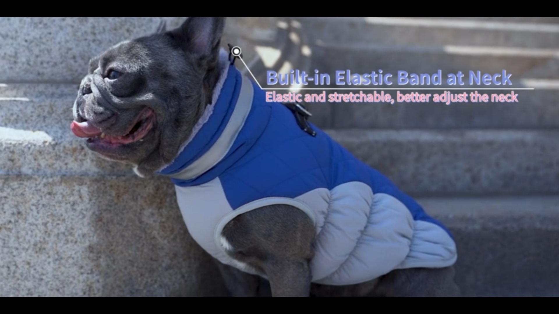 Теплое зимнее пальто для собак Пальто для собак Пальто для собак в холодную погоду Ветрозащитная светоотражающая водолазка Флисовый жилет для собак с упряжью Толстая флисовая куртка для собак Пальто для собак