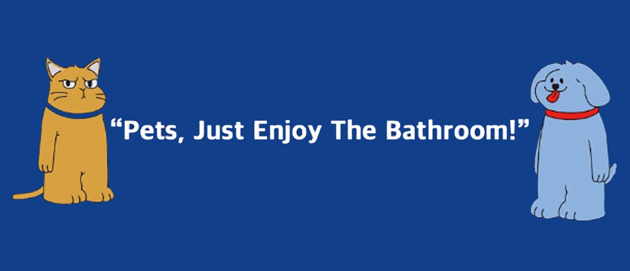 Comfort Set 2.0 (X-type Harness + Leash Set) Dog-only Pressure-free Chest Leash Leash