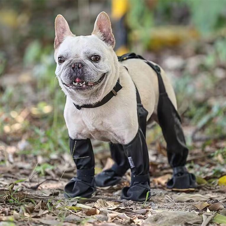 Водонепроницаемая обувь для собак – Уличные грязезащитные ботинки для питомцев с противоскользящей подошвой, ботиночки для собак на все сезоны, для маленьких и крупных собак (XS-XXL)