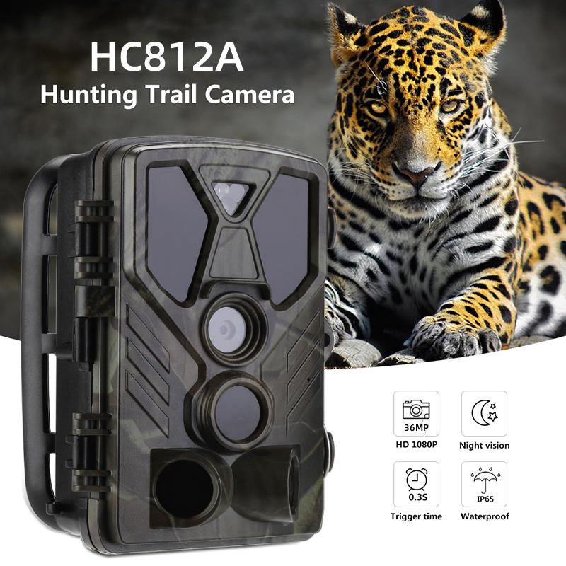 SUNTEKCAM HC812A 24MP 1080P Hunting Camera