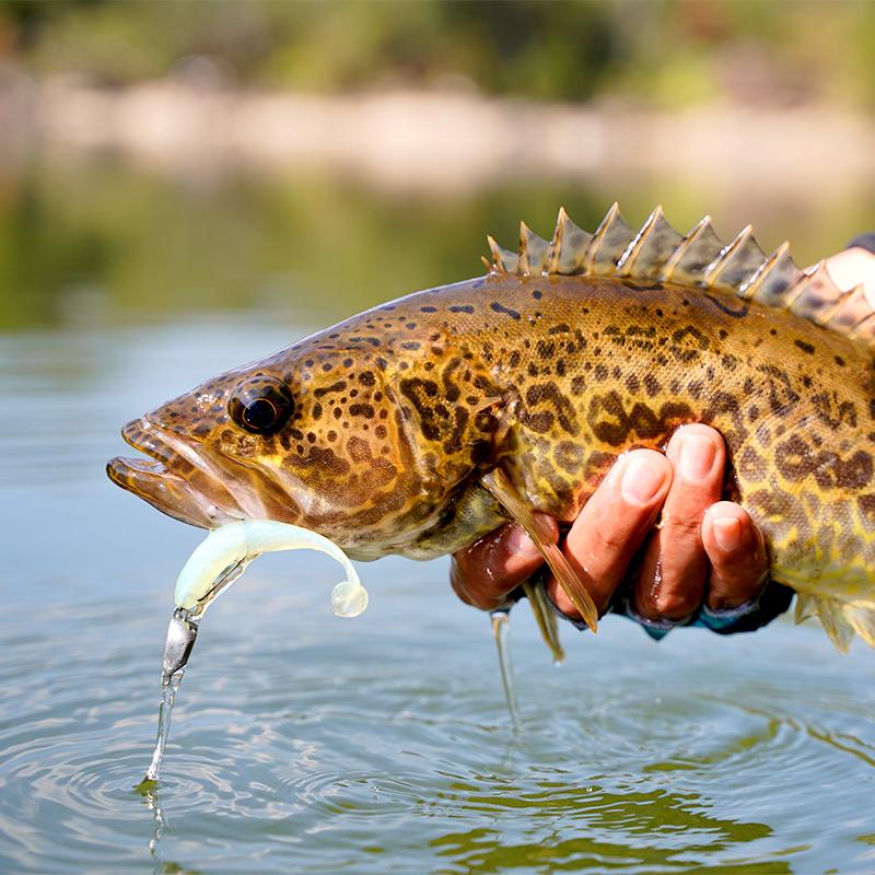 Kingdom Мягкие приманки для рыбалки с яркими червями, 72 мм 100 мм, искусственные рыболовные приманки, джиг-приманки для плавания, Т-образные рыболовные снасти, рыболовные приманки