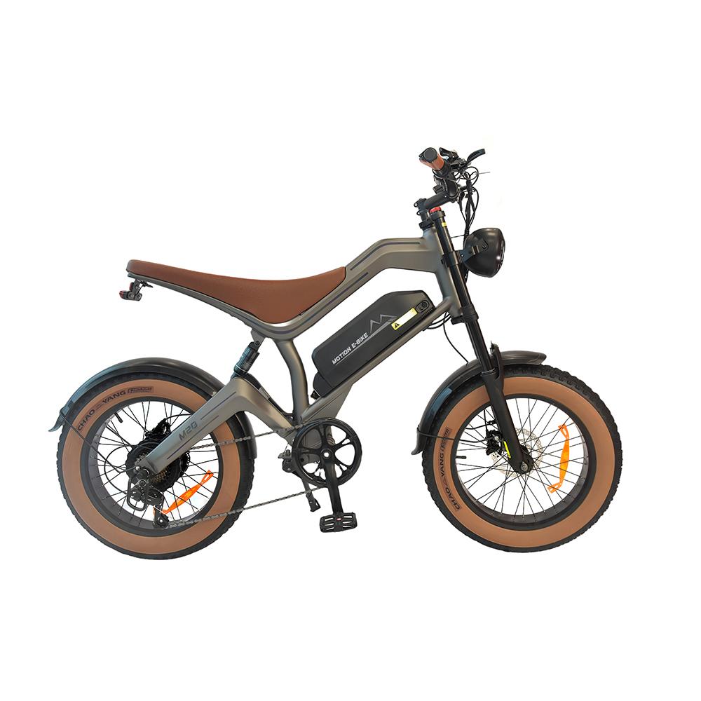 DYU M20 Electric Dirt Bike 20inch with 48V 18.2AH Battery